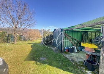 IMG_2910.JPG - Terreno agricolo Pietrasanta - foto 14