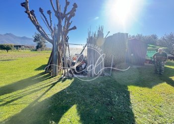 IMG_2915.JPG - Terreno agricolo Pietrasanta - foto 15