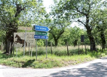 Terreno agricolo Roccamonfina - foto 1