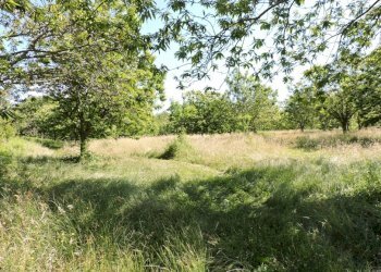 Terreno agricolo Roccamonfina - foto 2