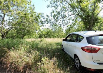 Terreno agricolo Roccamonfina - foto 5