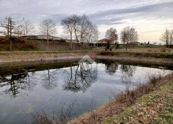 Terreno agricolo Via Strada Provinciale 19, Suno - foto 3