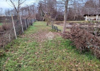 Terreno agricolo Via Strada Provinciale 19, Suno - foto 12