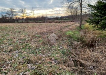 Terreno agricolo Via Strada Provinciale 19, Suno - foto 17
