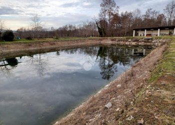 Terreno agricolo Via Strada Provinciale 19, Suno - foto 18