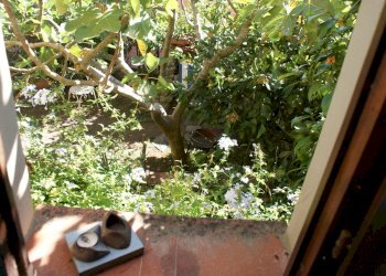 lu13.jpg - Villa Luni - foto 13