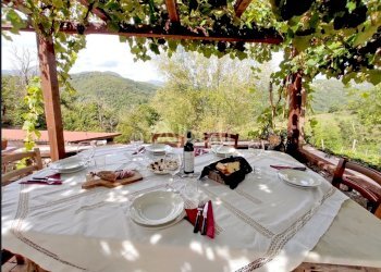 AT01_agriturismo_vendita_varese ligure_piscina_te - Agriturismo Varese Ligure - foto 10