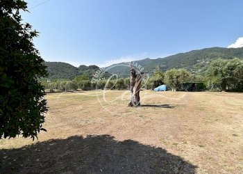 39539_W.jpg - Porzione di casa Pietrasanta - foto 6