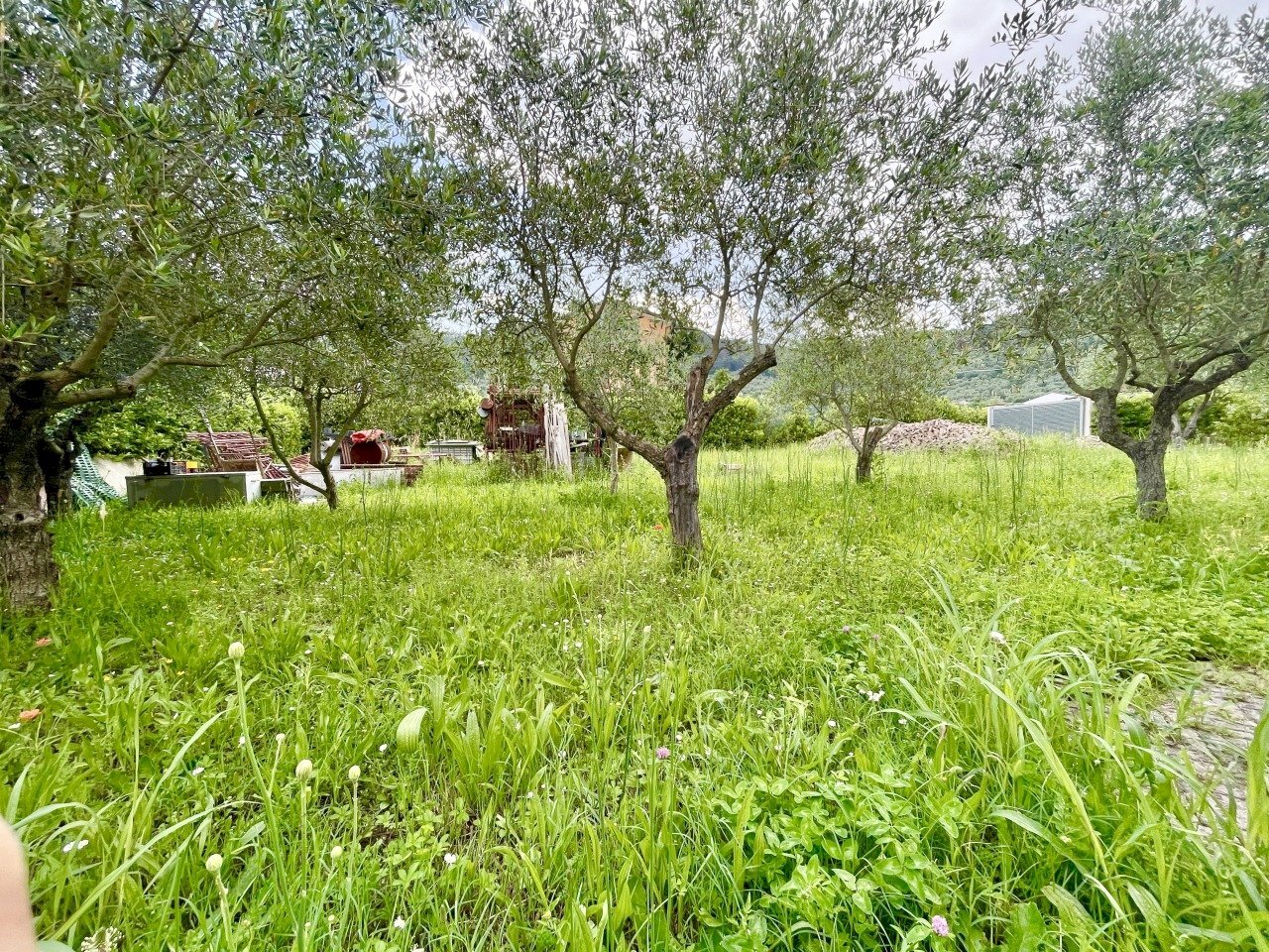 IMG_5194.jpg - Villa Massarosa - foto 3