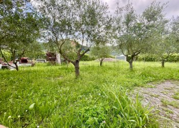 IMG_5193.jpg - Villa Massarosa - foto 2