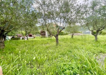 IMG_5194.jpg - Villa Massarosa - foto 3