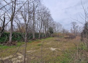 Terreno agricolo VIA FIUME TAVO, Cappelle sul Tavo - foto 1