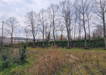 Terreno agricolo VIA FIUME TAVO, Cappelle sul Tavo - foto 8