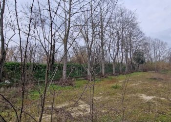 Terreno agricolo VIA FIUME TAVO, Cappelle sul Tavo - foto 10