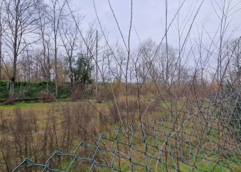 Terreno agricolo VIA FIUME TAVO, Cappelle sul Tavo - foto 12