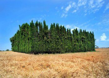 Rustico Via Parollara, Castelfranco Emilia - foto 13