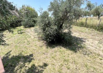 IMG-4134.jpg - Quadrilocale Via Vittorio Alfieri  10, Morlupo - foto 30