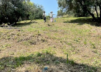 IMG-4135.jpg - Quadrilocale Via Vittorio Alfieri  10, Morlupo - foto 8