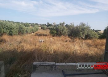 Capannone CONTRADA PALAZZOLA, Scicli - foto 7