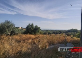 Capannone CONTRADA PALAZZOLA, Scicli - foto 8