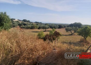 Capannone CONTRADA PALAZZOLA, Scicli - foto 9