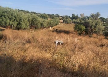 Capannone CONTRADA PALAZZOLA, Scicli - foto 10