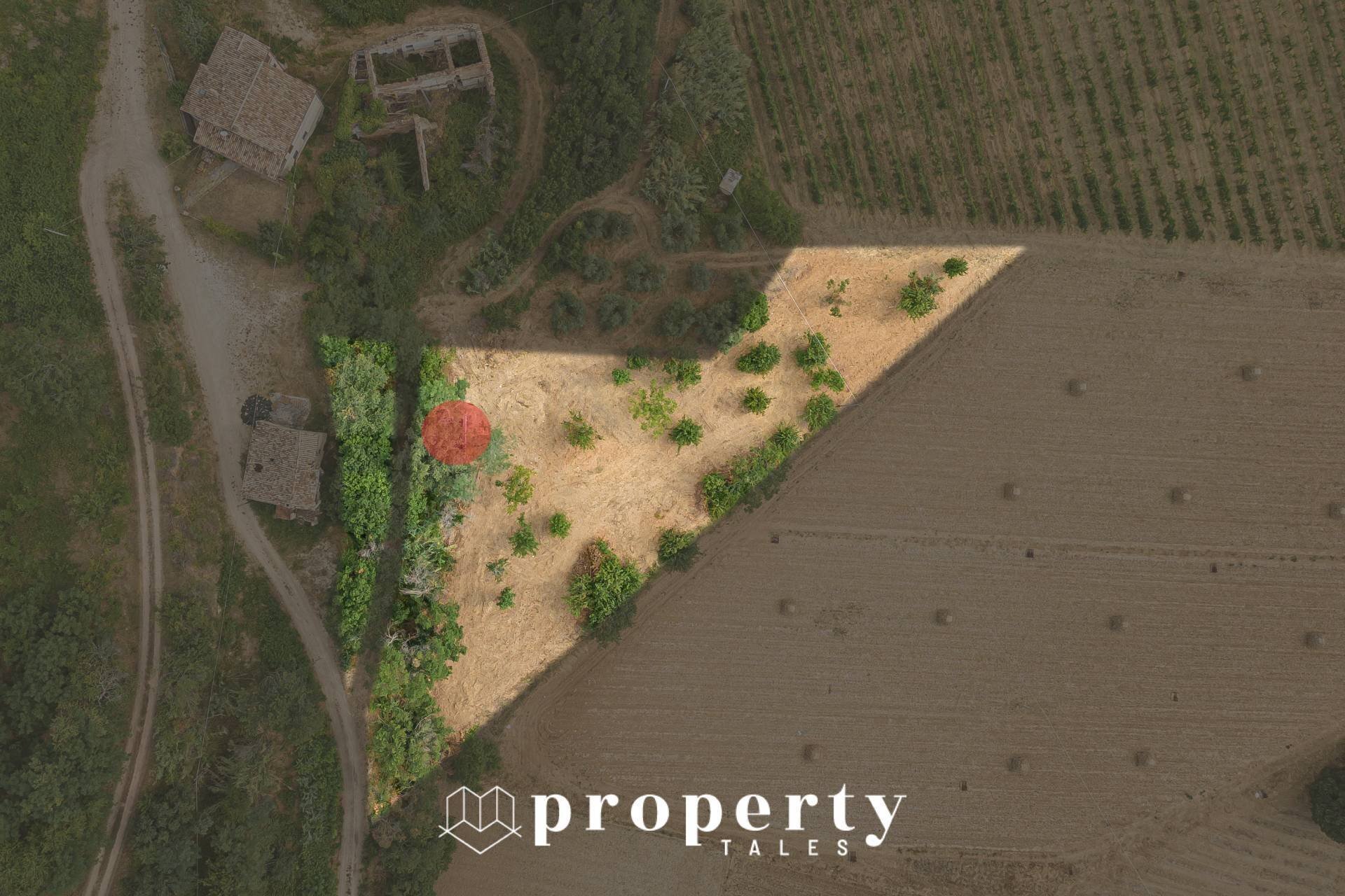 Rustic Cda Castellano, Ripatransone - photo 3