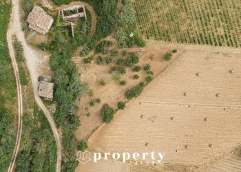 Rustico Cda Castellano, Ripatransone - foto 2