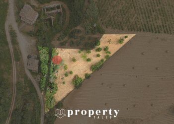 Rustico Cda Castellano, Ripatransone - foto 3