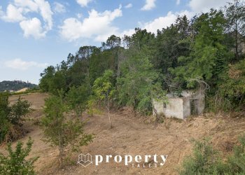 Rustico Cda Castellano, Ripatransone - foto 8