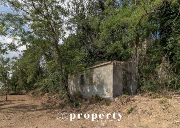 Rustico Cda Castellano, Ripatransone - foto 15