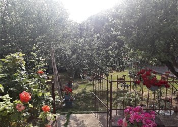 dettagli - Casa indipendente Via Cigne 2, Panicale - foto 3