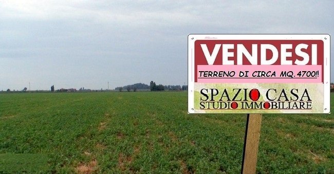 FOTO.jpg - Terreno agricolo Via di Spicciano, Vaiano - foto 1