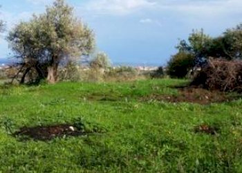 xxs-c.jpg - Terreno agricolo Via di Spicciano, Vaiano - foto 2