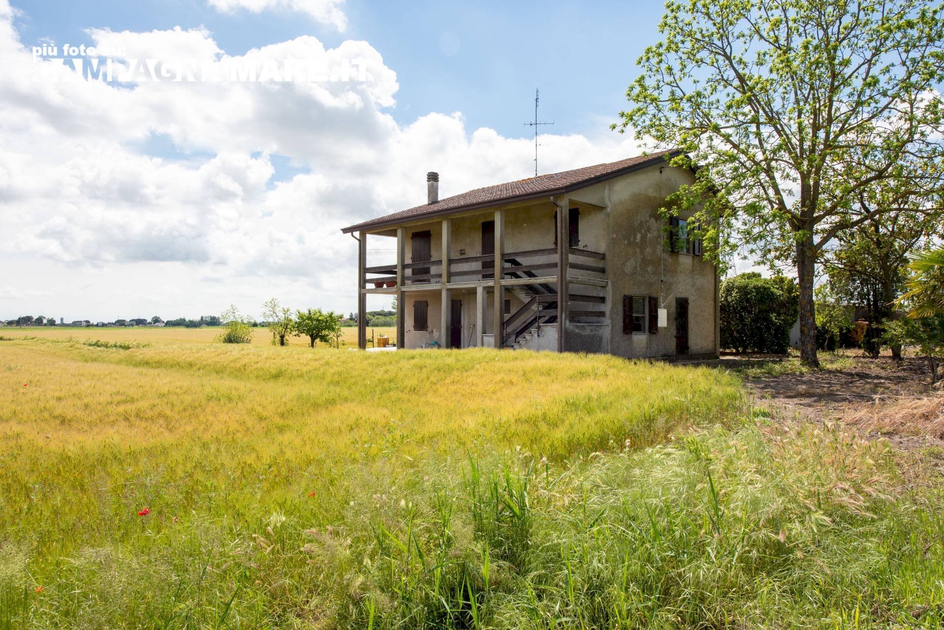 Independent house via biverare, Mesola - photo 1
