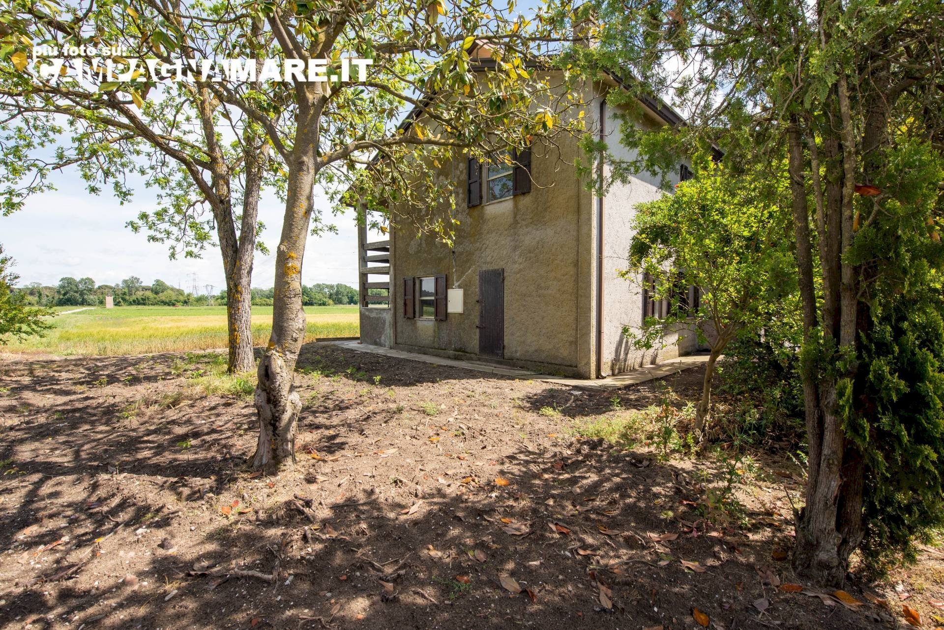 Independent house via biverare, Mesola - photo 3