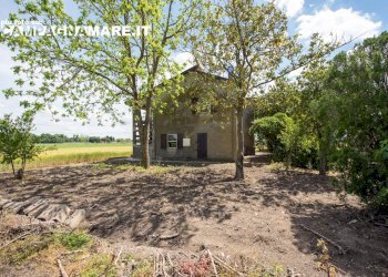 Independent house via biverare, Mesola - photo 2