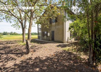 Independent house via biverare, Mesola - photo 3