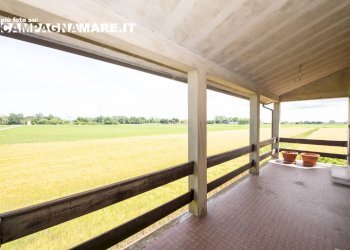 Independent house via biverare, Mesola - photo 8