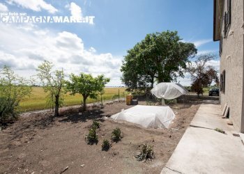 Independent house via biverare, Mesola - photo 9