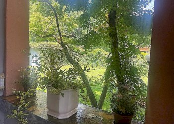 giardino - Villa via Legnano, 4, Rescaldina - foto 8