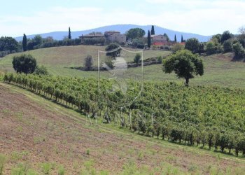 Rustico via dell'ospedale, Poggibonsi - foto 26