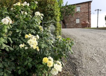 Rustico Via delle Selce, Torrita di Siena - foto 9