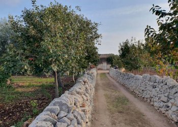 6.jpg - Rustico Via Vanella 39 18, Modica - foto 7