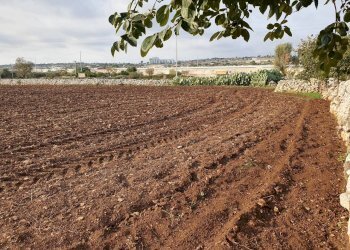 2.jpg - Rustico Via Vanella 39 18, Modica - foto 13