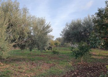 31.jpg - Rustico Via Vanella 39 18, Modica - foto 15