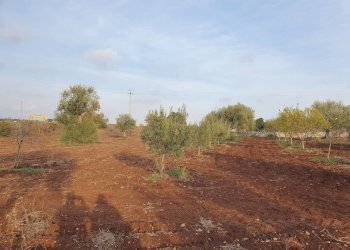 32.jpg - Rustico Via Vanella 39 18, Modica - foto 16