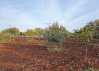 33.jpg - Rustico Via Vanella 39 18, Modica - foto 17