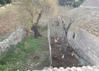 34.jpg - Rustico Via Vanella 39 18, Modica - foto 18