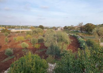 37.jpg - Rustico Via Vanella 39 18, Modica - foto 21